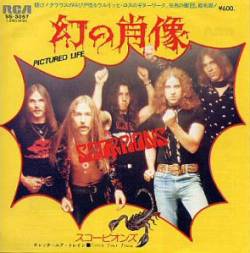 Scorpions : Pictured Life